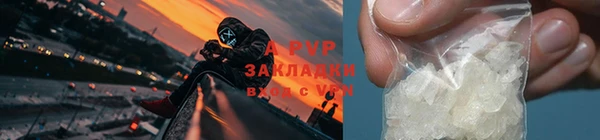 кокс Белокуриха
