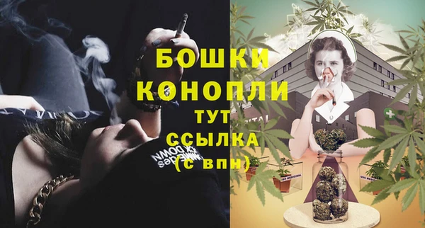 кокс Белокуриха