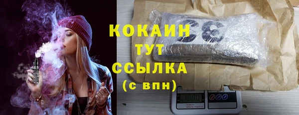 кокс Белокуриха