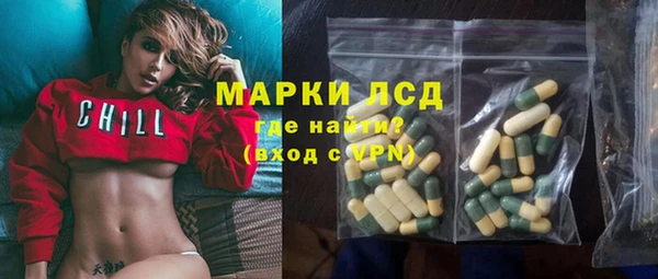 гашик Снежинск