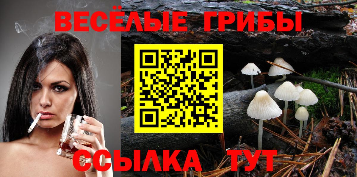 Псилоцибиновые грибы Cubensis Бузулук