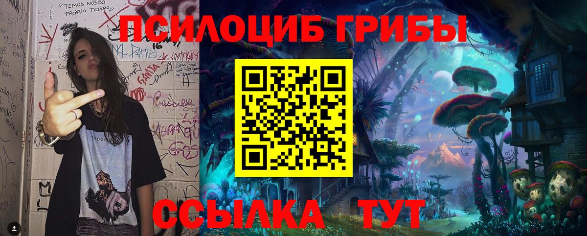 Псилоцибиновые грибы GOLDEN TEACHER  Псилоцибиновые грибы ЛСД  Бузулук  Вход с VPN 