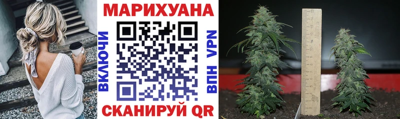 Канабис ГИДРОПОН Бузулук